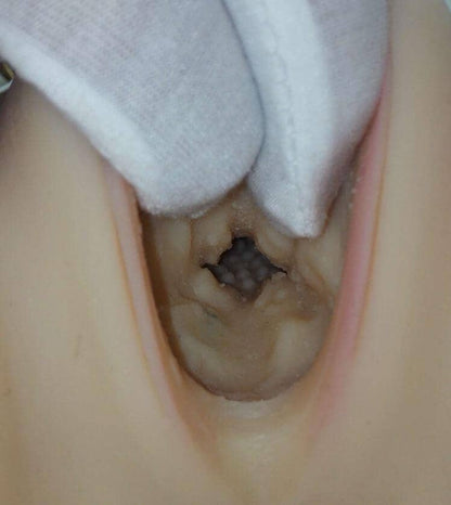 Sexy Real Sex Dolls Removable Vagina Insert (Silicone)